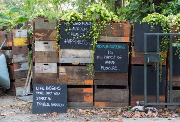 Open Farm Community Holds Their Second Social Market