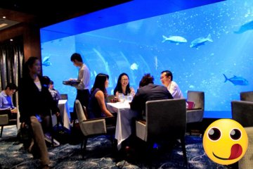 What are the Dishes You Can Expect at Ocean Restaurant?