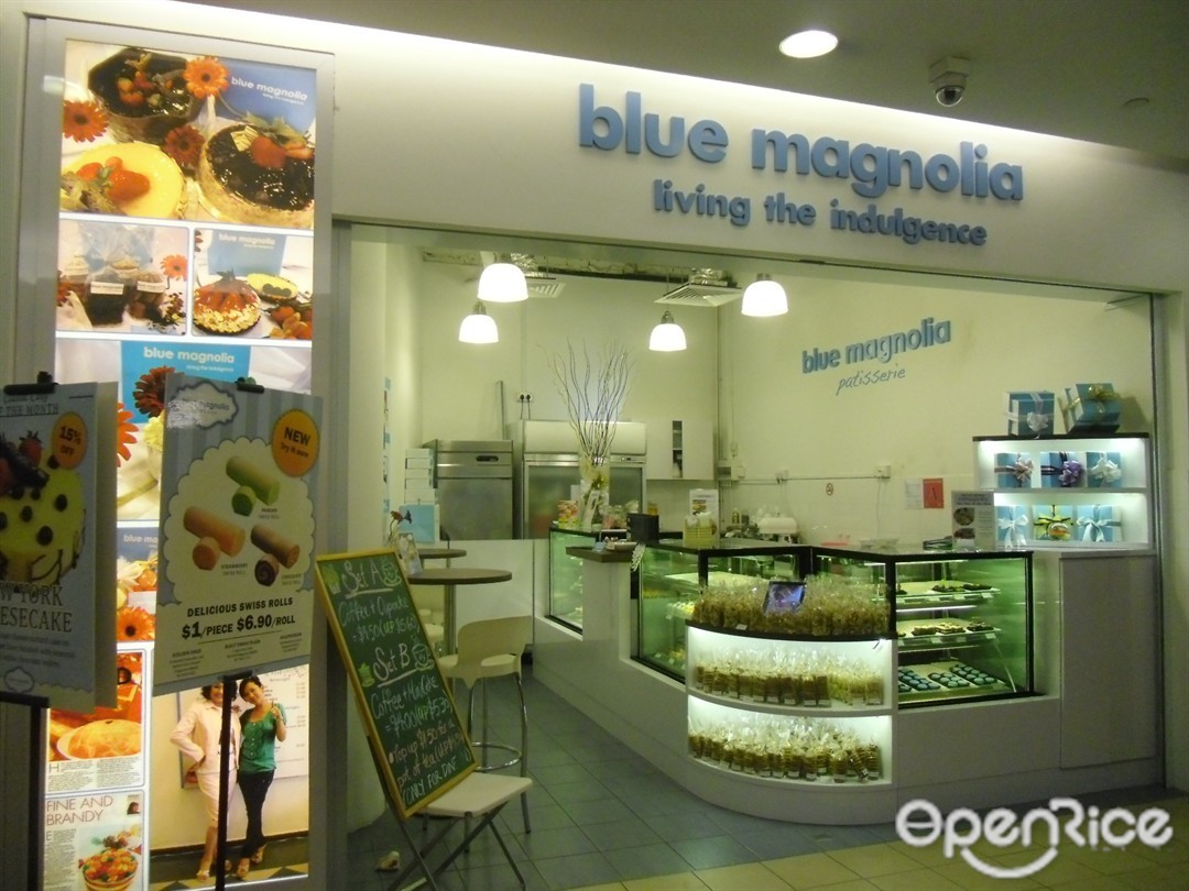 Blue Magnolia
