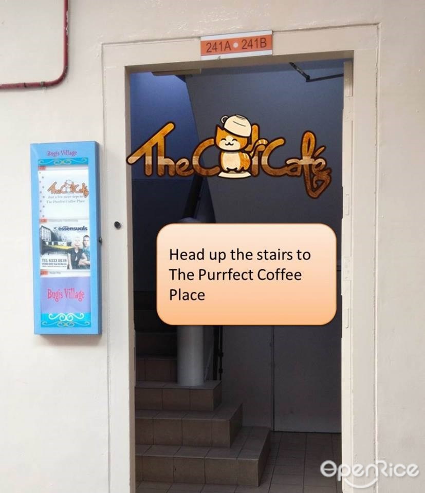 The Cat Cafe