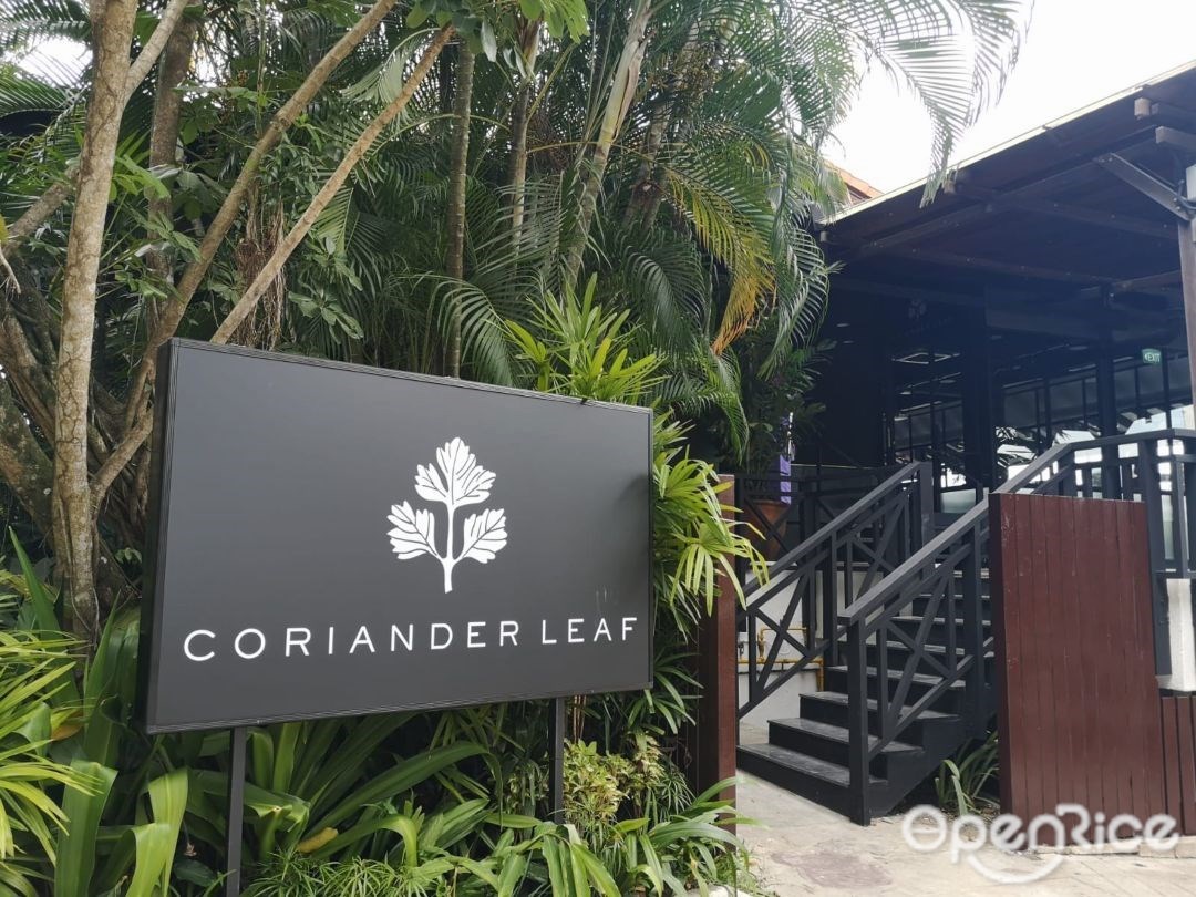 Coriander Leaf @ Singapore Polo Club