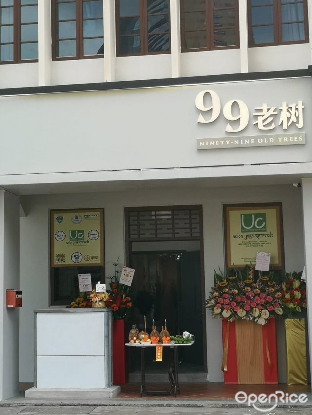 99老樹-door-photo