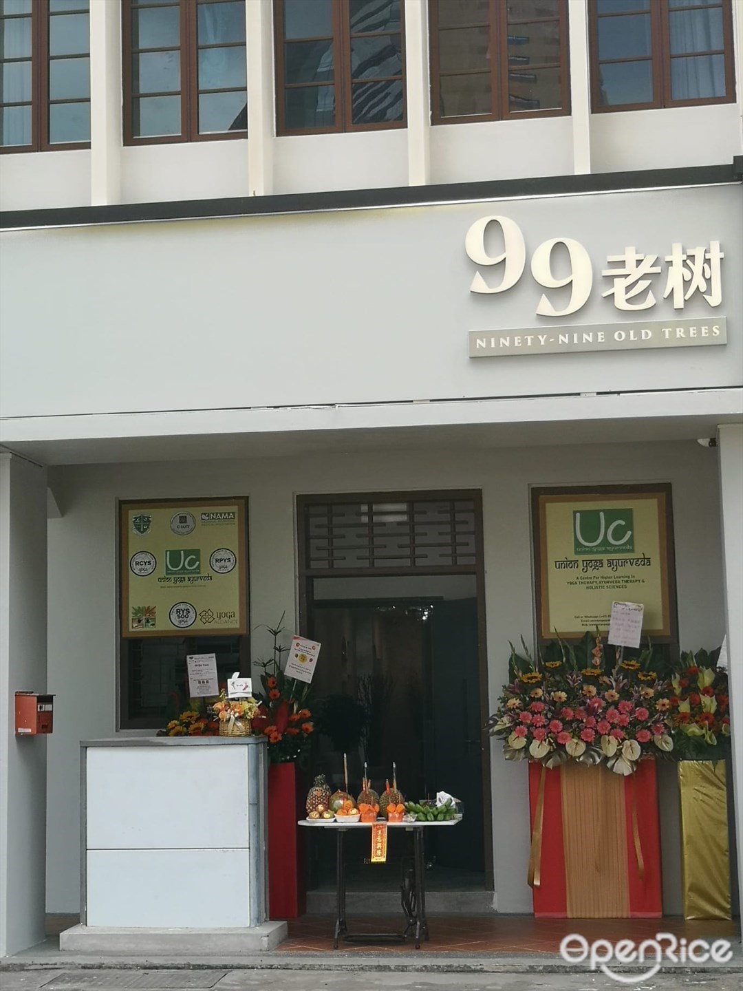 99老樹