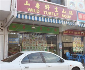 Wild Turtle Soup