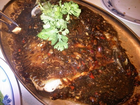 THE AWESOME FISH + SAUCE! 