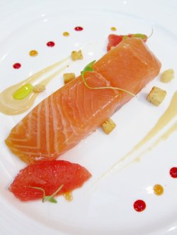 Salmon