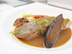 Barramundi