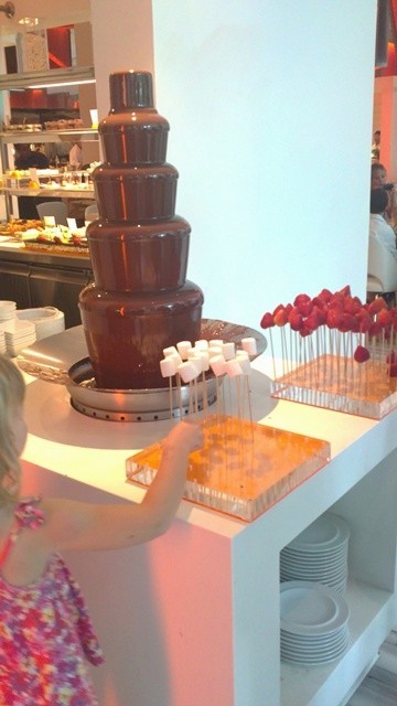 Chocolate Fountain. Best i have tasted so far. 