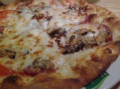 the pizzza