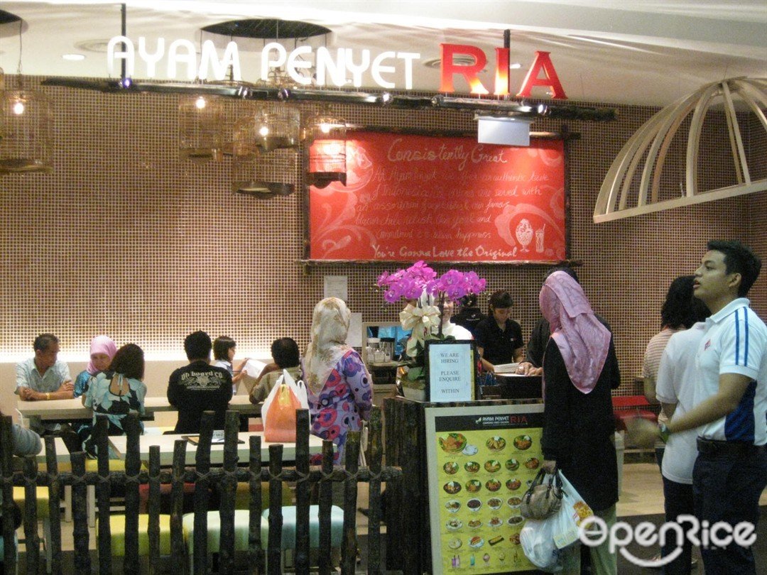 Ayam Penyet Ria's Photo - Malay Curries Restaurant Kids-Friendly in ...