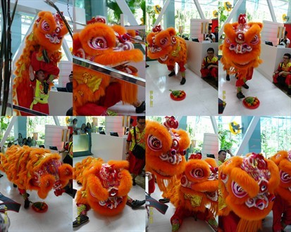 CNY Lion dance