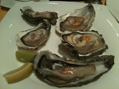 All diffferent types of Oysters