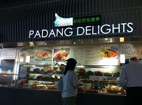Padang Delights - Food Republic
