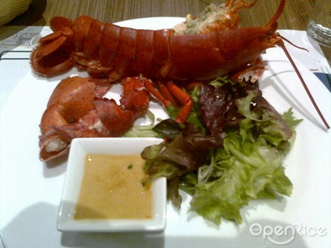 Steamed 'Live' Boston Lobster
