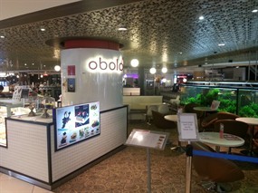 Obolo