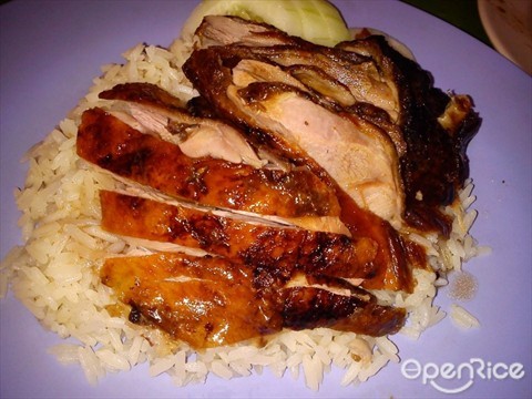 Halal Duck Rice in Singapore