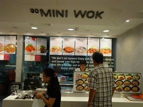 Go Mini Wok