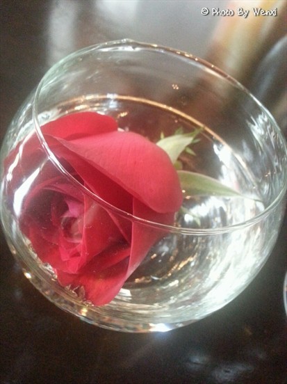 Decorations - Rose in Glass
