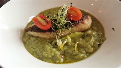 Grilled wild snapper served with herb pesto risotto