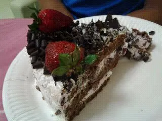 The texture of the cake