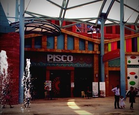 Pisco