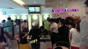 Yogurberry - Food Junction
