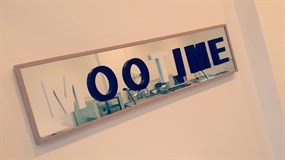 Mootime