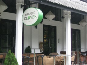 Organic Clover