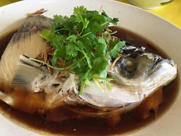 song fish head hk steamed 港蒸松鱼头