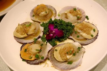 (the best) steamed scallops