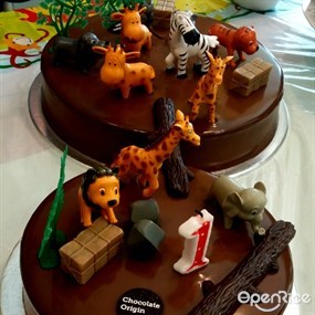 Chocolate Origin