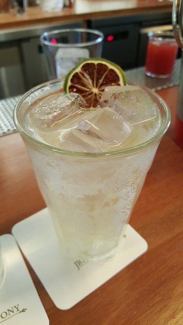 Iced Tea Soda