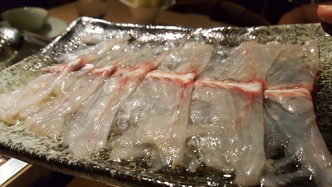 Translucent Sliced Fish