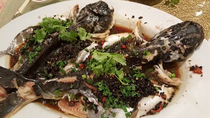 Steamed Fresh Pa-Ting Fish with Olives, Garlic and Chilli, 榄角蒜茸辣椒蒸八丁鱼