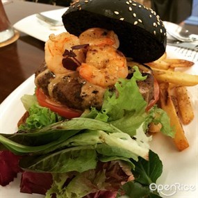 TCC - The Connoisseur Concerto