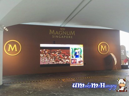 Magnum Store
