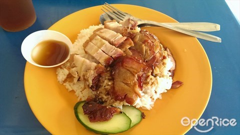 roasted meat plus char siew rice