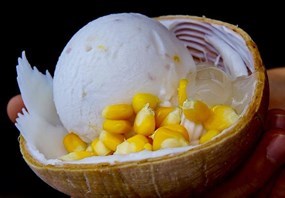 KOKO Thai Coconut Ice Cream