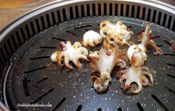 Baby Octopus