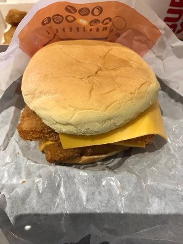 Double  Fish
