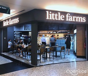 Little Farms (Valley Point)