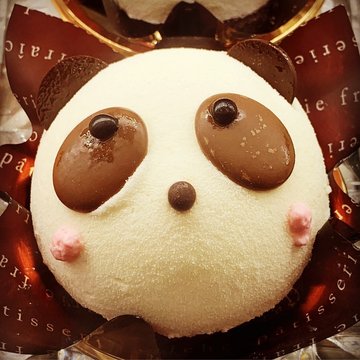 Cute  Panda