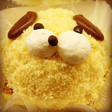 Cute  Dog