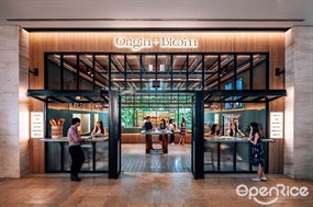 Origin + Bloom