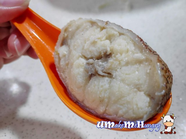 Cross Section of Fish Meat