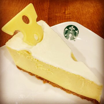 Say Cheese Mango Cheesecake