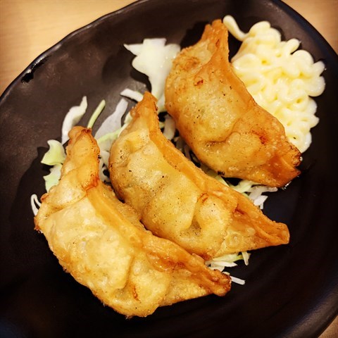 Japanese deep-fried chicken & vegetable dumplings.