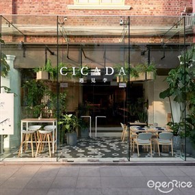 Cicada