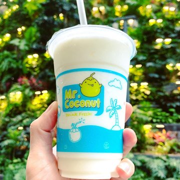Coconut Shake (椰子冰沙)