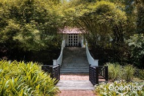 Tamarind Hill
